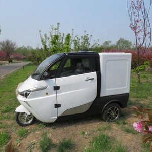 Scooter électrique entièrement fermé à trois et quatre <span class=keywords><strong>roues</strong></span>, trotinette Cargo, avec cabine, <span class=keywords><strong>2022</strong></span> pouces, certificat de conformité cee - Product Image 4