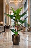 Arbre artificiel Alocasia à plusieurs troncs en pot, plante tropicale pour la décoration intérieure, hall d'hôtel, centre commercial, bureau, aménagement paysager, vente en gros
