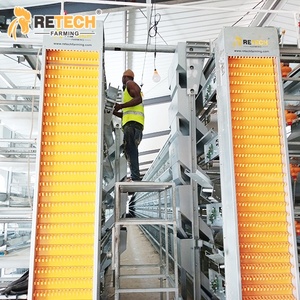 Tùy chỉnh đẻ gà mái chăn nuôi gia cầm thiết bị nhà cung cấp với trứng tự động hệ thống thu thập trong Chile - Product Image 1