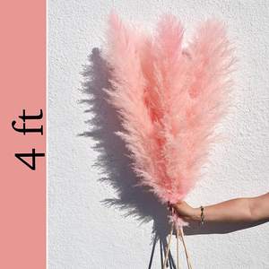 Hflora Herbe de pampa séchée Grande pampa blanche de haute qualité Herbe de pampas naturelle Herbe de pampa décorative séchée en gros - Product Image 1