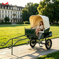 Chariot à chevaux classique personnalisable à 2 roues pour poney, en vente, chariot de course pour chevaux, nouveau style, chariot pour poney exporté