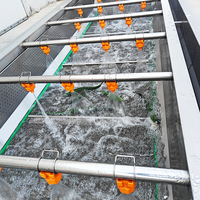 Continue industriële bubbelwasmachine automatische fruit- en groentewasser voor bladgroenten en bessen verwerkingslijn