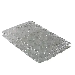 Atacado bandeja de ovos de codorna transparente-Recipientes de ovos de codorna de 24 furos, caixas de plástico transparentes d28mm, 24 células de pvc, bandeja de ovos de codornas (500 peças)