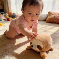 Boneka Plush Lucu Kartun Sloth Hewan Bola Lompat Gantungan Ransel Hadiah Ulang Tahun Boneka Genggam Poliester Kapas PP 0-24