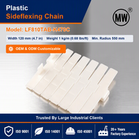 Geluidsarme LF810TAB-K470C POM Acetal zijdelings flexibele tafelbladketting, op maat gemaakte vlakke ketting voor instant noodle lijnen en snackvoedsel lijnen