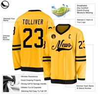 Betheriva Jersey hoki es kualitas tinggi anak-anak kustom bordir Tackle Twill lucu kaos hoki es