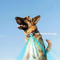 Collier GPS pour animaux de compagnie avec localisation en temps réel, haute précision, 4G WIFI, étanche, suivi GPS intelligent pour chien avec application