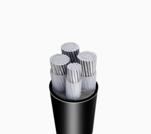 <span class=keywords><strong>0</strong></span>.<span class=keywords><strong>6</strong></span>/<span class=keywords><strong>1kV</strong></span> <span class=keywords><strong>yjv</strong></span> cáp điện PVC xlpe 3 4 5 lõi đồng cáp điện bọc thép dưới mặt đất cáp điện - Product Image 3