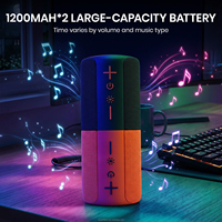 Haut-parleur sans fil portable OEM à aspiration magnétique pour extérieur, double batterie 1200 mAh, mode portable, lumière LED colorée