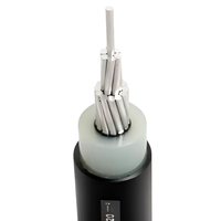 Conductor Aéreo de Aluminio de Media Tensión AAC de 15KV, Cable de Alimentación SAC con Aislamiento de PVC IP44 para Transmisión