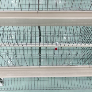 Cages à poulets Batterie Poulailler Poules pondeuses Poule pondeuse Élevage de volailles Conception de ferme à vendre Prix Vendre en Algérie - Product Image 2