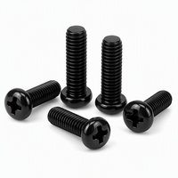 Vis métriques à tête ronde Phillips en nylon noir PM M2 M3 M4 M5 M6 M8, fixations métriques
