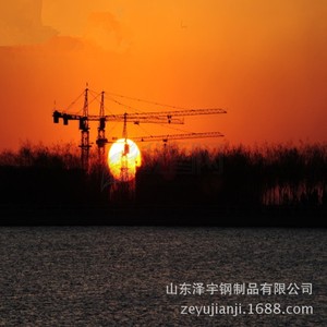 QTZ315/7040 High Quality <strong>Tower</strong> <strong>Crane</strong>, Elevator, Construction Elevator - Product Image 2
