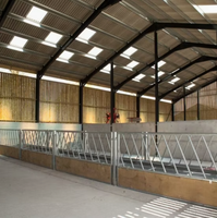 Nave Avícola de Acero a Gran Escala con Sistema de Silo de Alimentación, Moderna Planta Avícola para Pollos de Engorde y Ponedoras