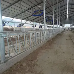 Complete set of equipment for raising cattle neck flail breeding can be customized as needed