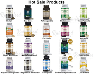 Capsules de complexe de vitamines B6 et <span class=keywords><strong>B12</strong></span> avec magnésium thréonate, phosphatidylsérine, extrait de Bacopa Monnieri de Rainwood - Product Image 6