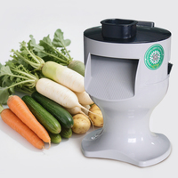 Groente-En Fruitsnijmachine Aardappelworteltomaat Mango Appeldobbelsteen Dobbelmachine Kokoskubus Snijmachine