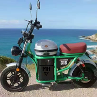 Klasik Retro Şişman Lastikli Elektrikli Bisiklet Geniş Kalın Lastikler Konforlu Şık E-Bisiklet Yeni Enerji E-Scooter Fabrika Direkt Tedarik