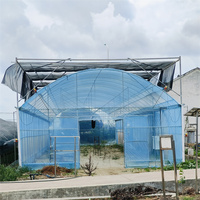 Serres agricoles à faible coût, tunnels à tomates, structure métallique, serre tropicale, serre multi-spans de 1000 m2, revêtement en film pour plantes