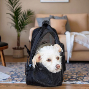 Transporteurs à côtés souples pour petits chats et chiens de taille moyenne Voyage en <span class=keywords><strong>avion</strong></span> à bord sous le siège Sac de transport pour animaux de compagnie - Product Image 4