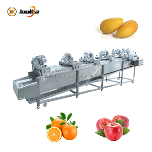 Machine industrielle de lavage et de cirage des citrons |   Ligne de tri et d'emballage des agrumes |   Équipement de triage des fruits frais - Product Image 2