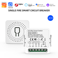 Module d'interrupteur intelligent mini SIXWGH Zigbee3.0 2 canaux, compatible Tuya Smart Life, nécessite une passerelle Zigbee, contrôle bidirectionnel et programmation pour la maison