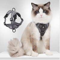 Harnais de luxe rembourré en polyester uni réglable pour animaux de compagnie, anti-évasion, design personnalisé, respirant, pour chat et chien, avec laisse
