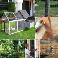 Maille carrée soudée en fer électrogalvanisé revêtu de PVC pour clôture de jardin, cage à lapins, oiseaux, poulets, services de découpe et de soudage
