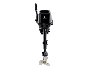 Motor fueraborda <span class=keywords><strong>PARSUN</strong></span> T8 de 8HP, venta directa de fábrica, motores fueraborda en China, motor fueraborda de 2 tiempos, motor para embarcaciones en stock - Product Image 2