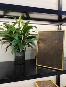 Cabine d'ascenseur en acier inoxydable de conception de panneau métallique d'art de mur d'ascenseur d'acier inoxydable - Product Image 2