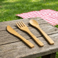 Ensemble de couverts jetables en bambou naturel écologique SanYou, biodégradable, cuillère, fourchette, couteau, fourchette à fruits, logo personnalisé, pour les fêtes, les hôtels