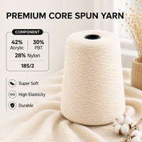 18S/2 Babysoft Bejirog Core Spun Blended Yarn 42% Acrylic 30% PBT 28% Nylon Knitting Weaving Yarn for Gauge 7 Scarves Sweaters