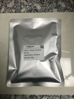 Flavone naturelle pure 20%-40% Poudre d'extrait de feuille de kaki