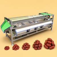 Dynamische tomaten sorteermachine, moderne fruit- en groentesorteermachine, efficiënte sorteerlijn voor verse producten