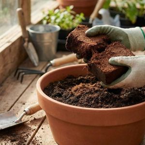 Bloque de Turba de Coco Premium |   Sustrato de Coco Orgánico para Plantas - Product Image 5