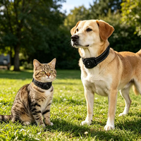 Collier GPS pour chien et chat, certifié Apple Find My, anti-perte, étanche IP68, réfléchissant, tailles S, M, L, noir, bleu, rouge