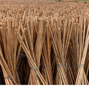 Balai en bois avec manche en bois et tête en PVC, écologique, facile à nettoyer, longueur 70-120 cm, diamètre 2,2 cm, pour le nettoyage domestique et des toilettes - Product Image 2