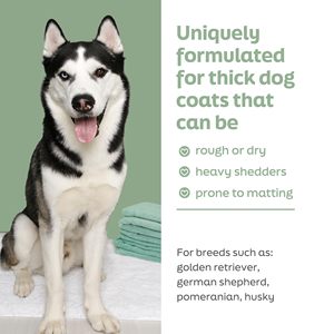 Champú para <span class=keywords><strong>Perros</strong></span> 5 en 1 de Marca Privada, Suavizante con Leche de <span class=keywords><strong>Avena</strong></span>, Aceite de Coco y Aloe - Product Image 4