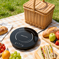 Cuisinière à induction solaire portable DC48V, table et encastrable pour camping-car, voyages en plein air, facile à utiliser