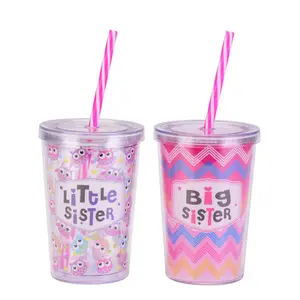 Copo de plástico para crianças, copo Kawaii de parede dupla transparente com canudo, garrafa de plástico personalizada de 300ml