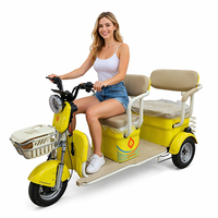 Tricycles électriques tout-terrain à 3 roues avec siège, moteur de moyeu arrière haute vitesse 1000W, pneus larges, 60V 20Ah, fabricant chinois