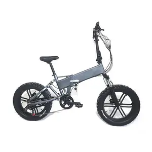 가장 차가운 Ebike 접이식 전기 자전거 100 마일 접이식 자전거 충전