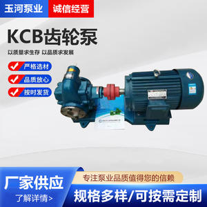 Pompes à engrenages en acier inoxydable à haut débit pour huile alimentaire, unité de pompage KCB, directement fournie par le fabricant - Product Image 5