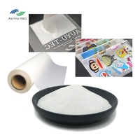 Poudre adhésive DTF à chaud de haute qualité 1 kg / 500 g pour l'impression par transfert thermique