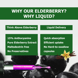 Custom Label Pure Sambucus Extract 600mg Elderberry Liquid Drops for Kids Adult Enhance Antioxidant Liquid Drink Herbal Formula - Product Image 3