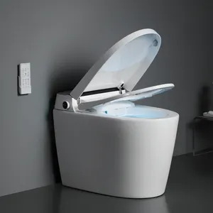 Sanitary Equipment Automatic Open Electronic WC Intelligent Toilet