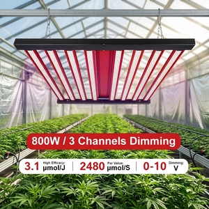 Lámpara de <span class=keywords><strong>Cultivo</strong></span> <span class=keywords><strong>LED</strong></span> de 800W con Lente para una Mayor Penetración de Luz, Ideal para <span class=keywords><strong>Cultivo</strong></span> de Tomate y Pimiento en Invernadero - Product Image 4
