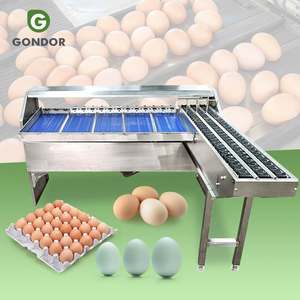 Máquina Clasificadora Manual de Huevos para Granjas y Incubatorios, Línea de Producción de Inspección y Clasificación, Clasificador de Huevos 4000 - Product Image 1