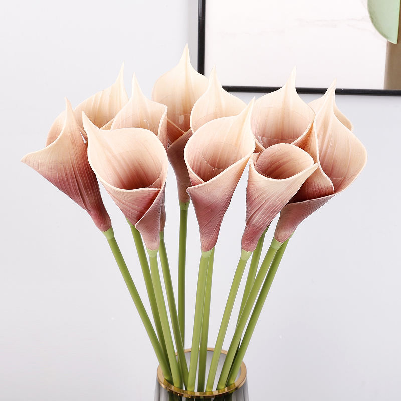 แชมเปญสีม่วง