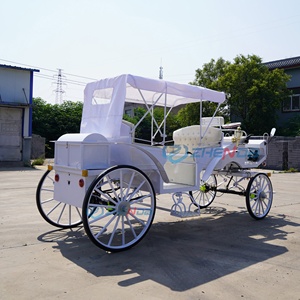 Fashion all-white electric sightseeing carriage, simple station wagon with white ceiling for parks - Product Image 5